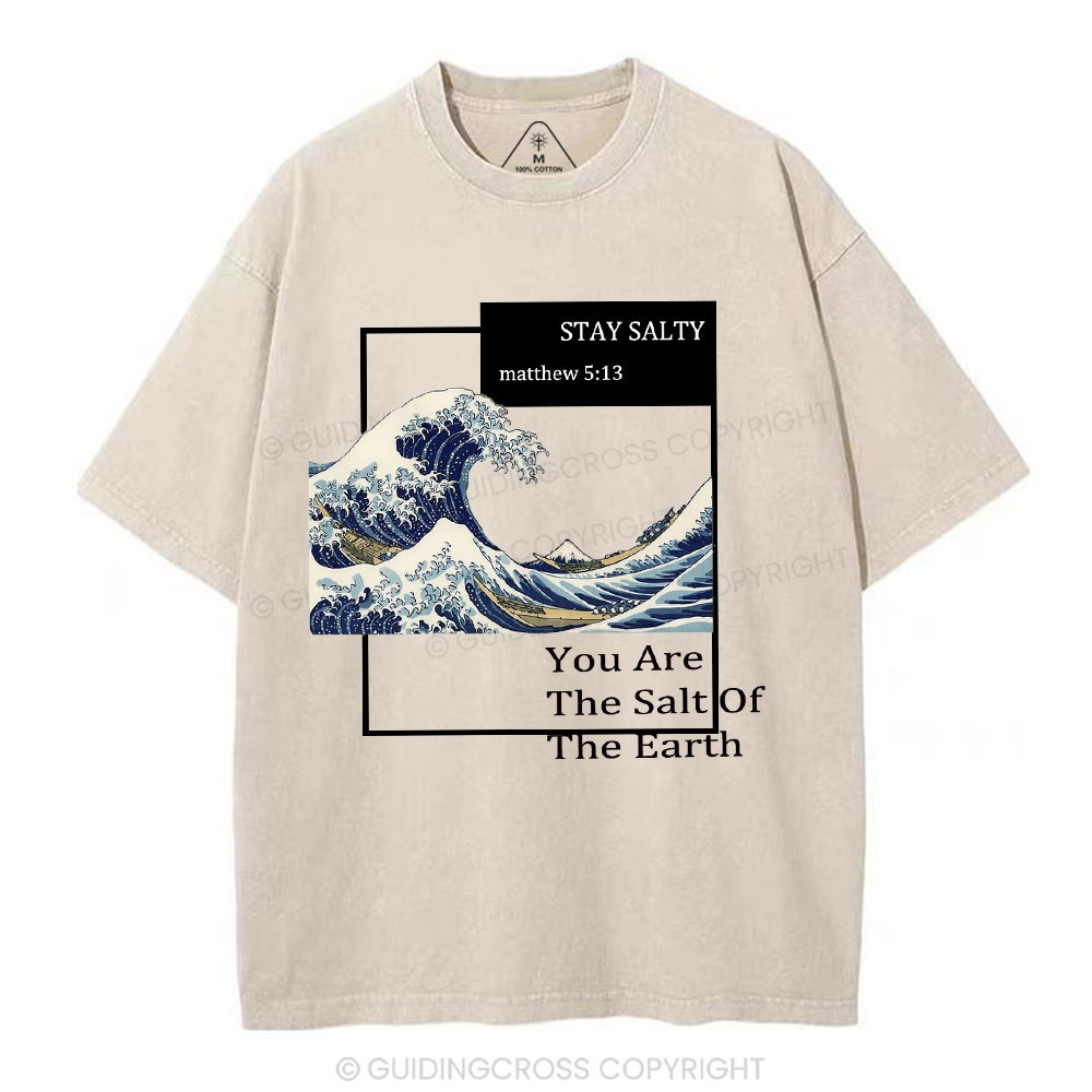 You Are The Salt Of The Earth Christian Washed T-Shirt