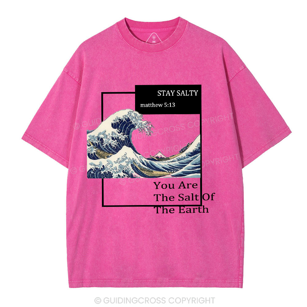 You Are The Salt Of The Earth Christian Washed T-Shirt