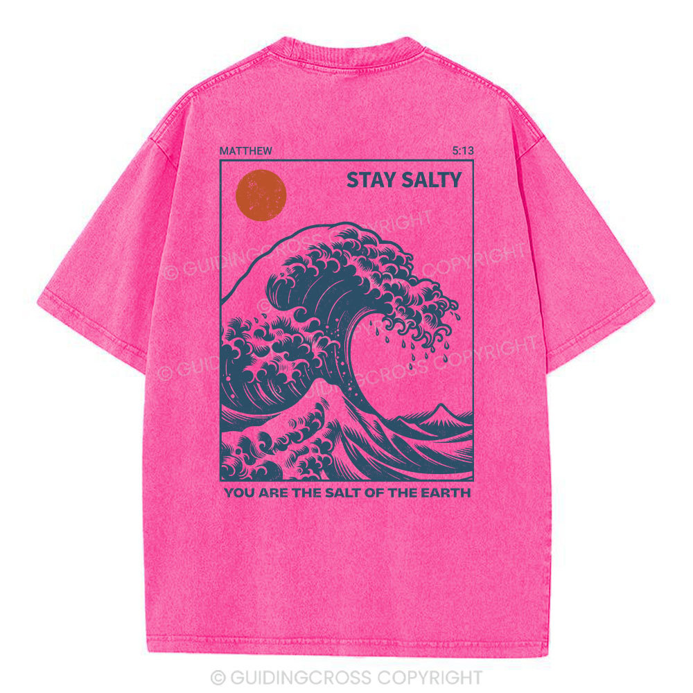 You Are The Salt Of The Earth Christian Washed T-Shirt
