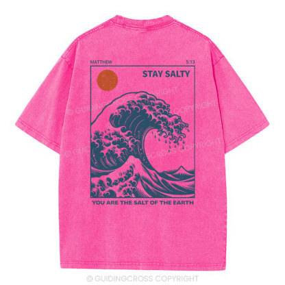 You Are The Salt Of The Earth Christian Washed T-Shirt