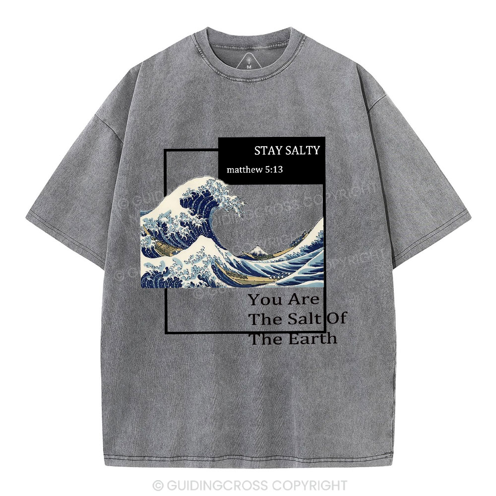 You Are The Salt Of The Earth Christian Washed T-Shirt