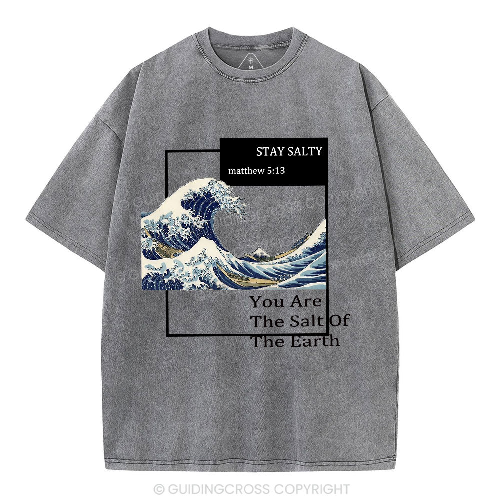 You Are The Salt Of The Earth Christian Washed T-Shirt