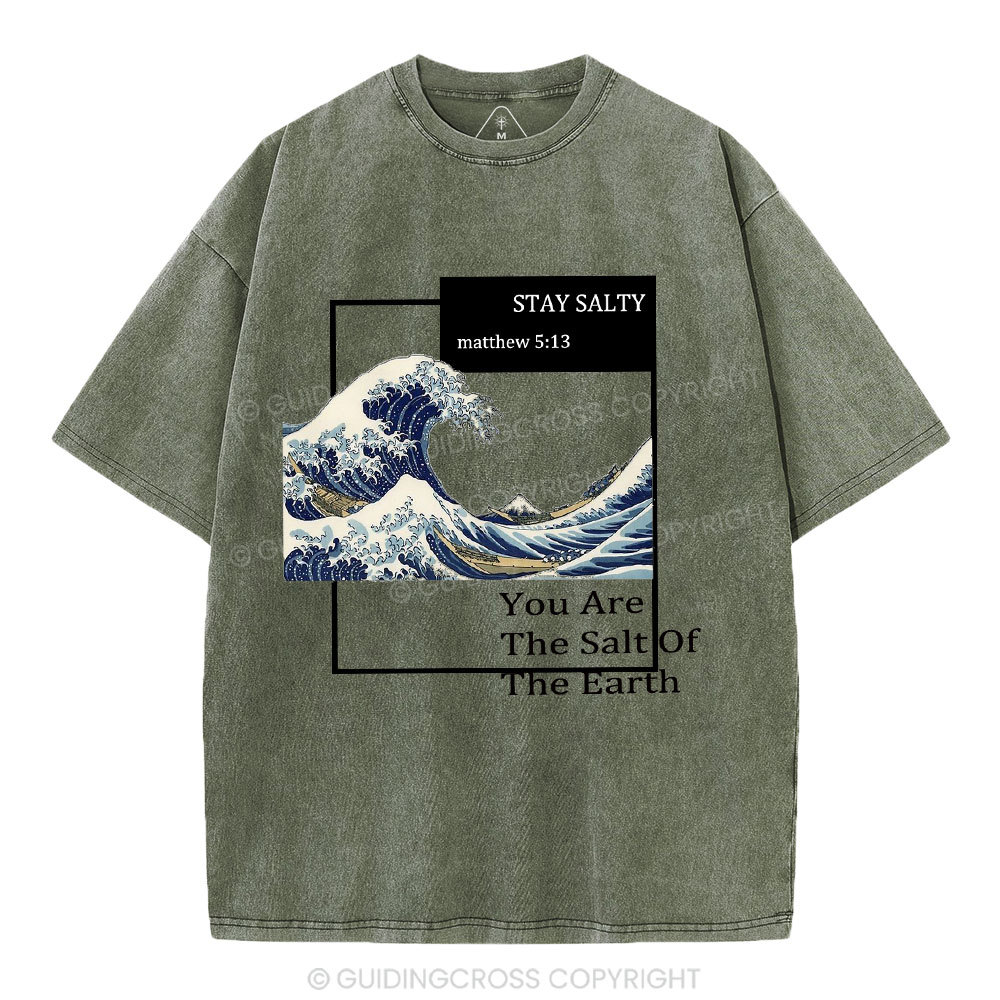 You Are The Salt Of The Earth Christian Washed T-Shirt