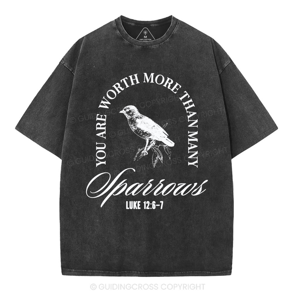 You Are Worth More Than Many Christian Washed T-Shirt