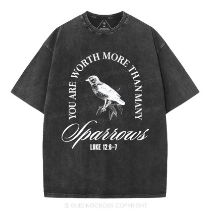 You Are Worth More Than Many Christian Washed T-Shirt