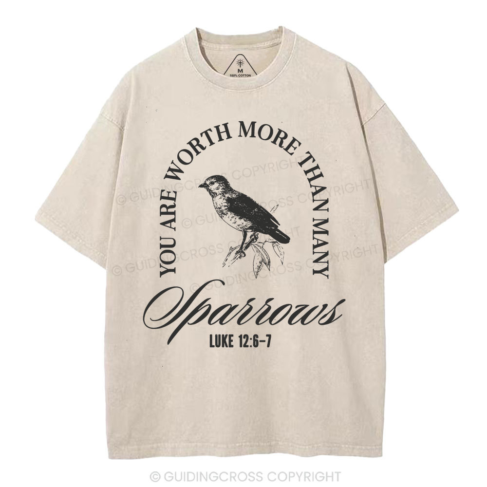 You Are Worth More Than Many Christian Washed T-Shirt