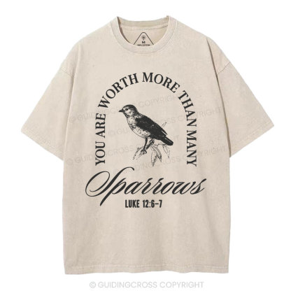 You Are Worth More Than Many Christian Washed T-Shirt