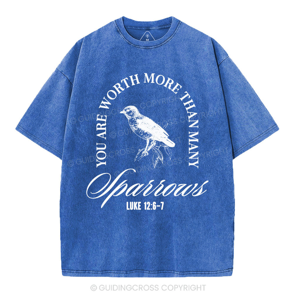 You Are Worth More Than Many Christian Washed T-Shirt