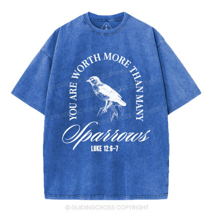 You Are Worth More Than Many Christian Washed T-Shirt