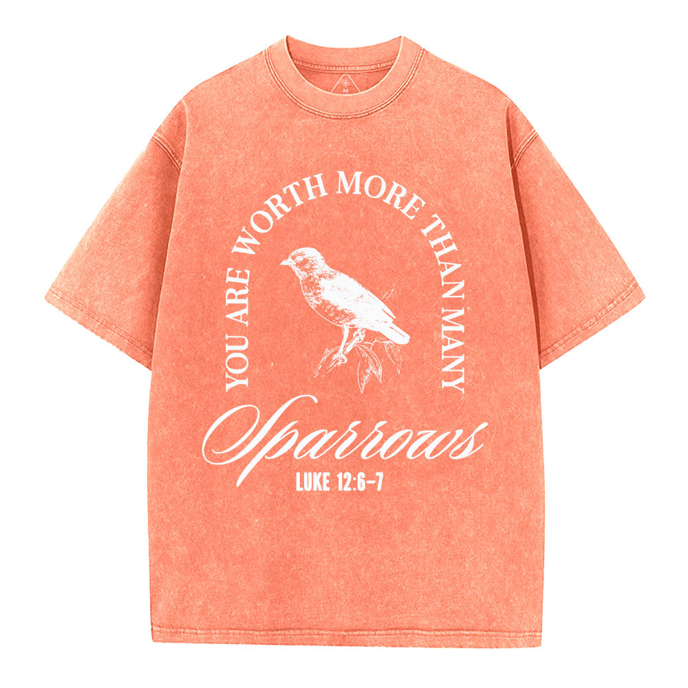You Are Worth More Than Many Christian Washed T-Shirt