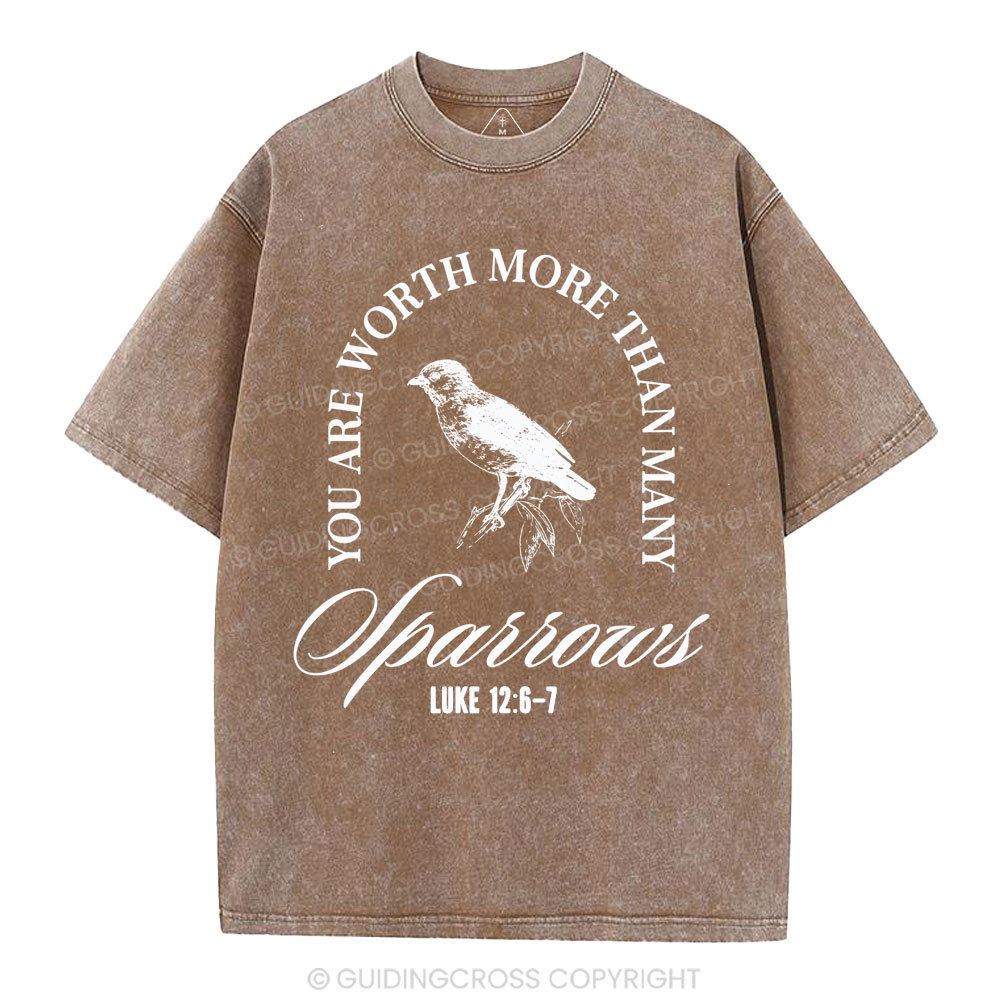 You Are Worth More Than Many Christian Washed T-Shirt