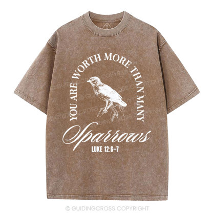 You Are Worth More Than Many Christian Washed T-Shirt