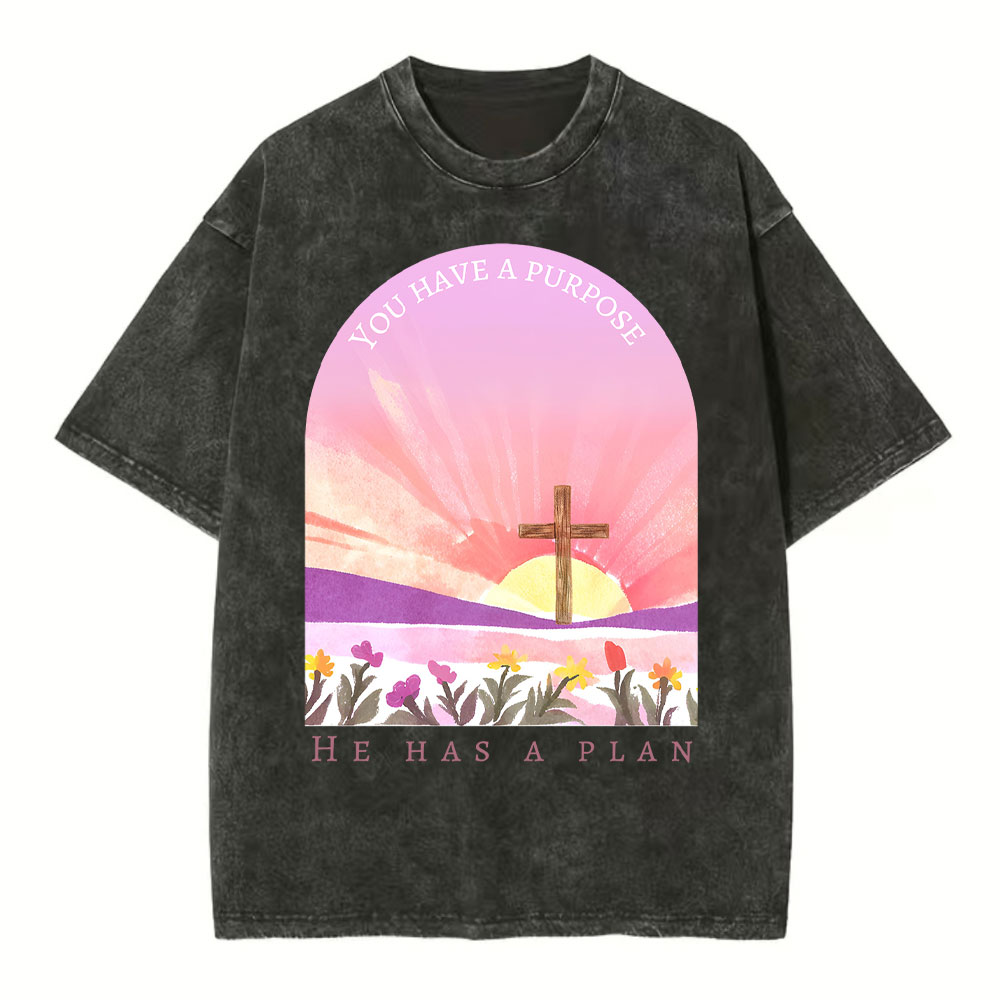 You Have A Purpose He Has A Plan Christian Washed T-Shirt