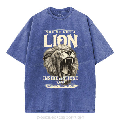 You Have Got A Lion Christian Washed T-Shirt