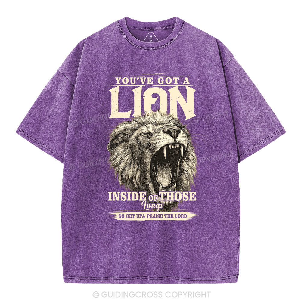 You Have Got A Lion Christian Washed T-Shirt