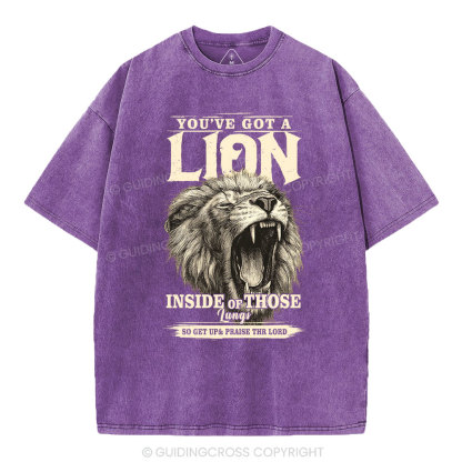 You Have Got A Lion Christian Washed T-Shirt