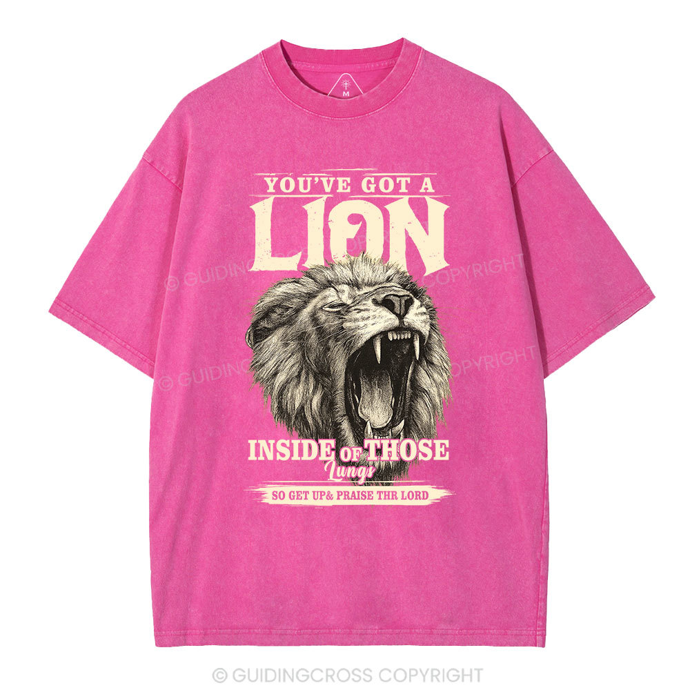 You Have Got A Lion Christian Washed T-Shirt