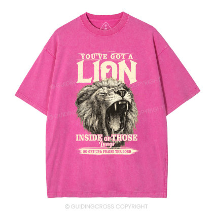 You Have Got A Lion Christian Washed T-Shirt