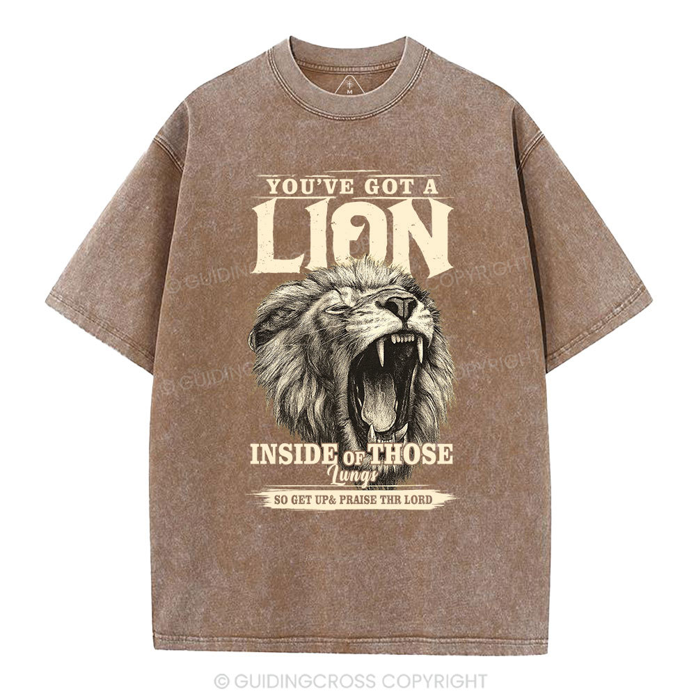 You Have Got A Lion Christian Washed T-Shirt