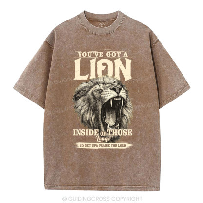You Have Got A Lion Christian Washed T-Shirt