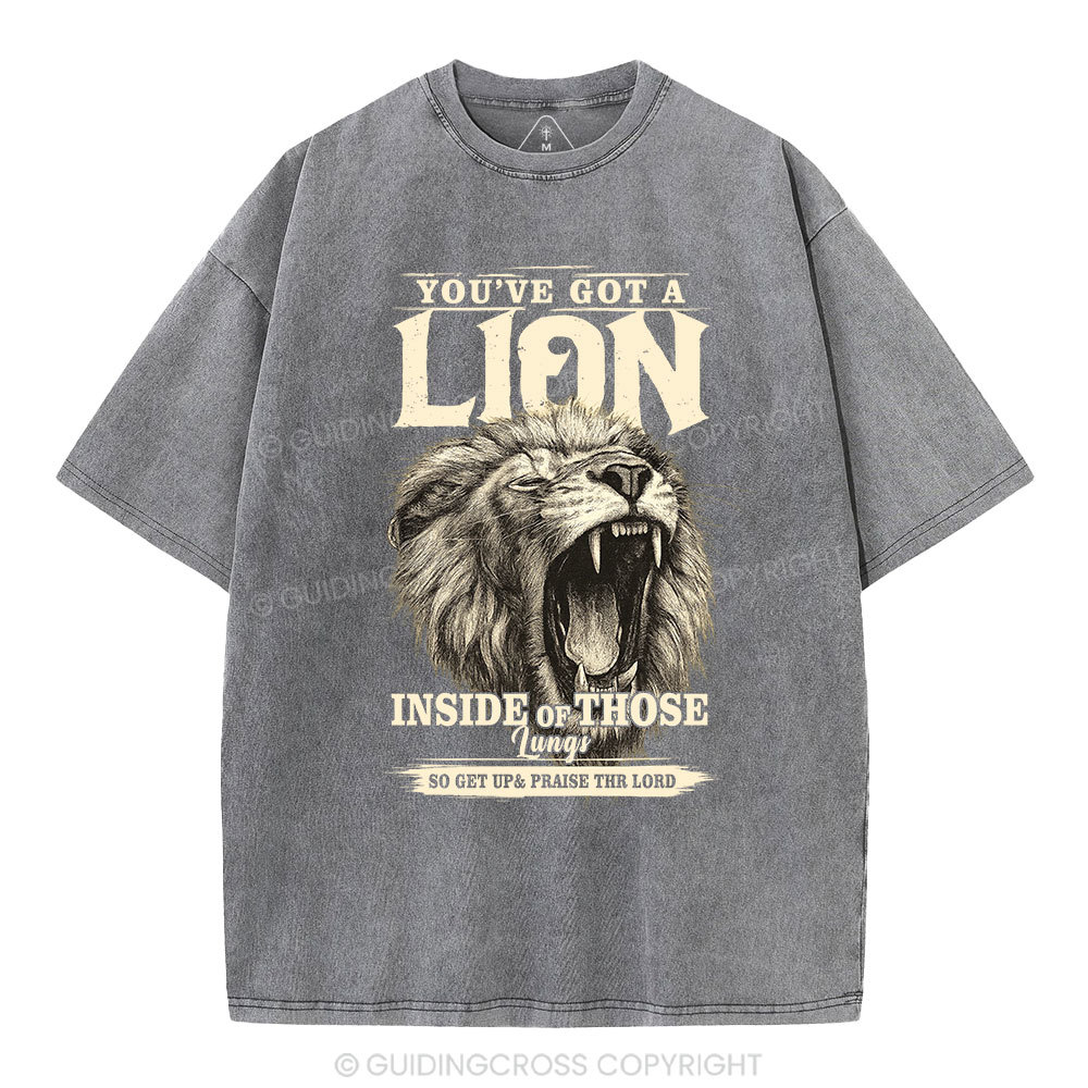 You Have Got A Lion Christian Washed T-Shirt