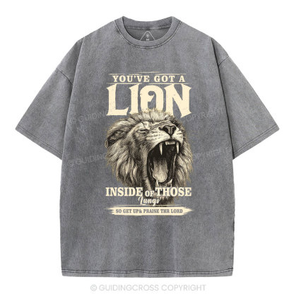 You Have Got A Lion Christian Washed T-Shirt