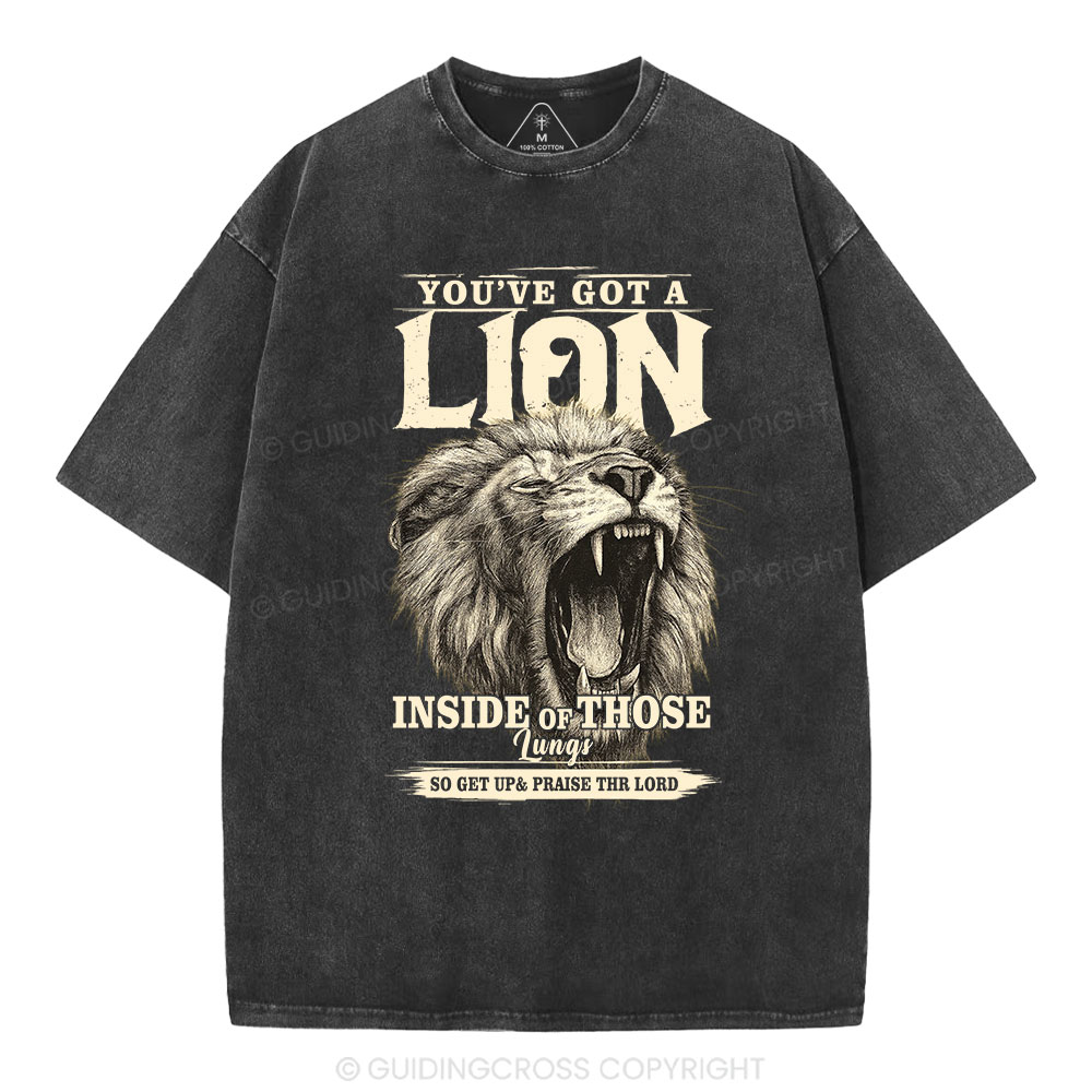 You Have Got A Lion Christian Washed T-Shirt