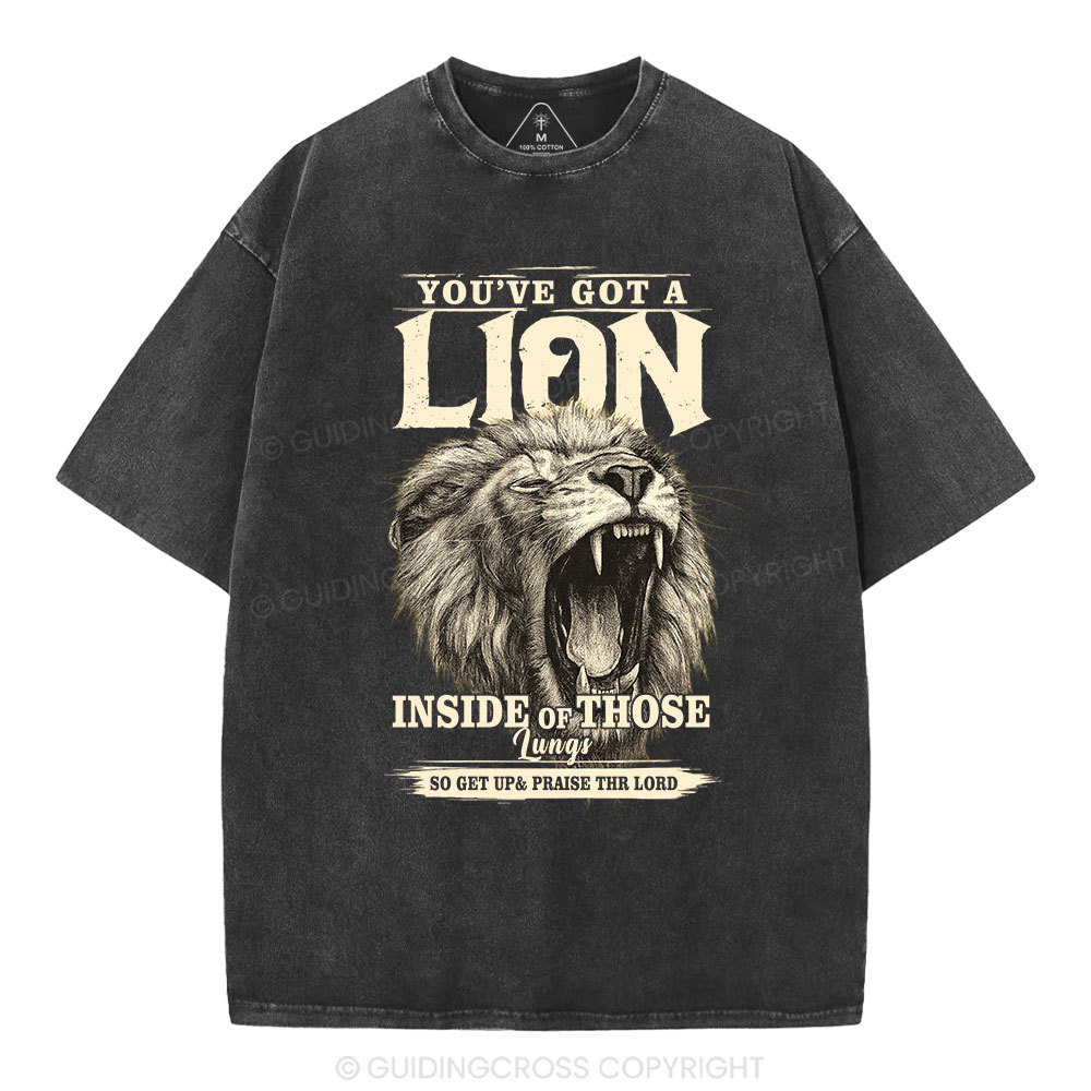 You Have Got A Lion Christian Washed T-Shirt