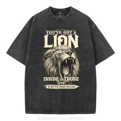 You Have Got A Lion Christian Washed T-Shirt