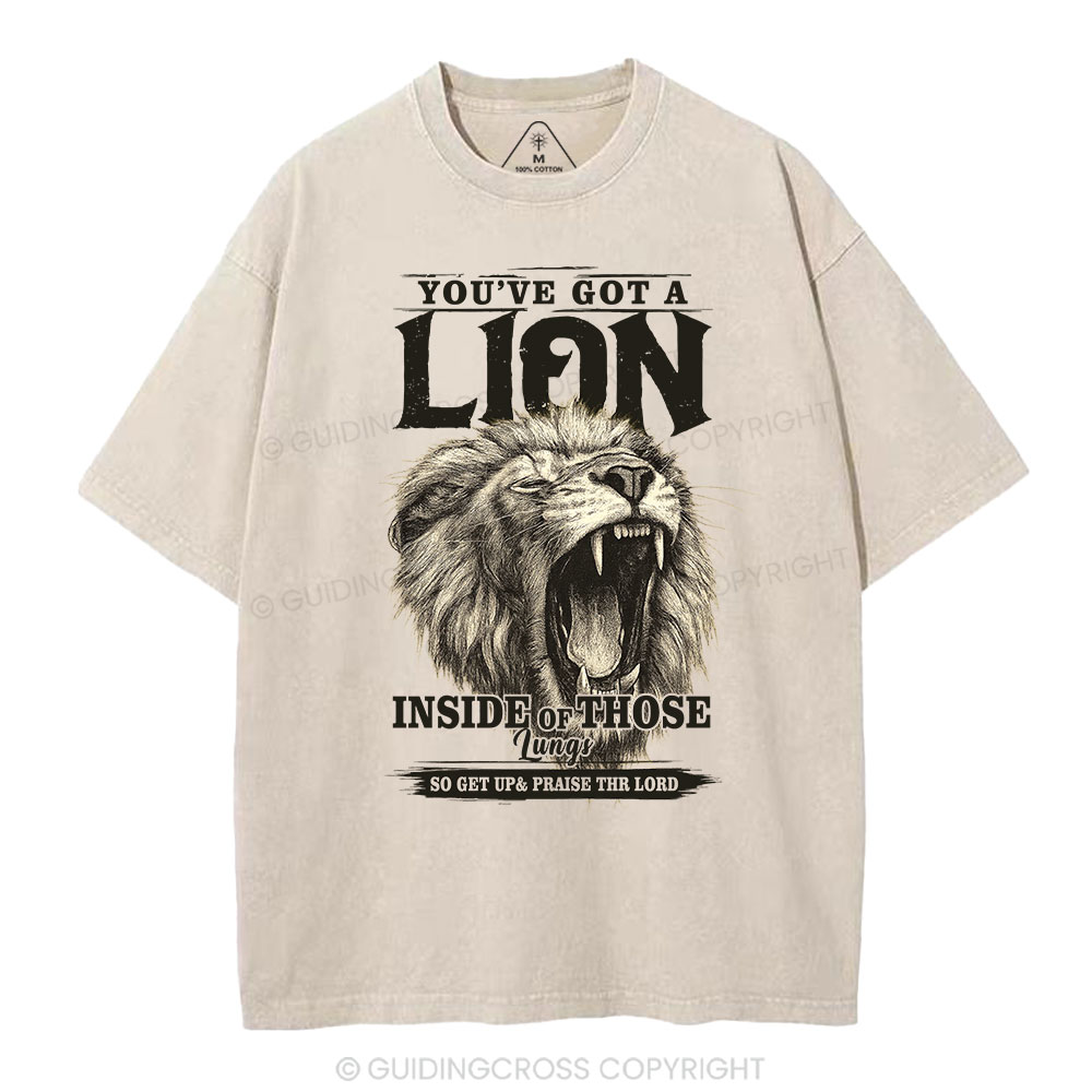 You Have Got A Lion Christian Washed T-Shirt