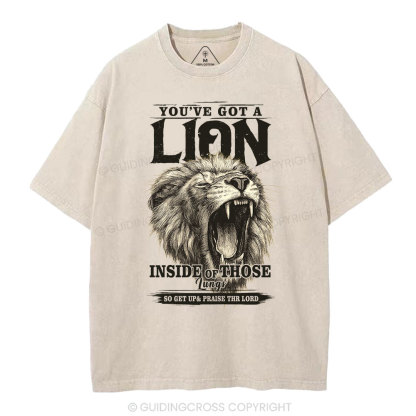 You Have Got A Lion Christian Washed T-Shirt