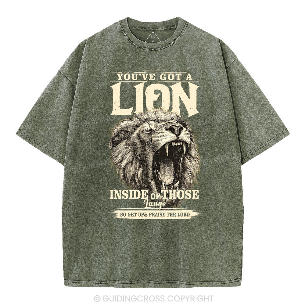 You Have Got A Lion Christian Washed T-Shirt