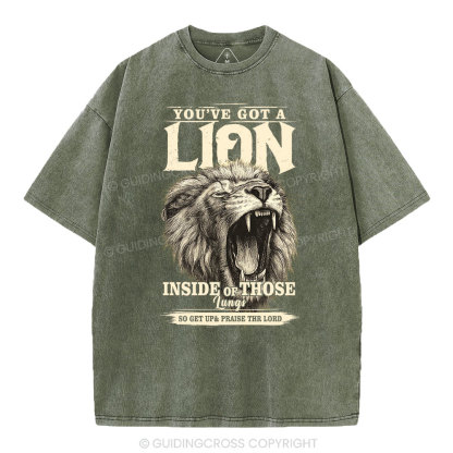You Have Got A Lion Christian Washed T-Shirt
