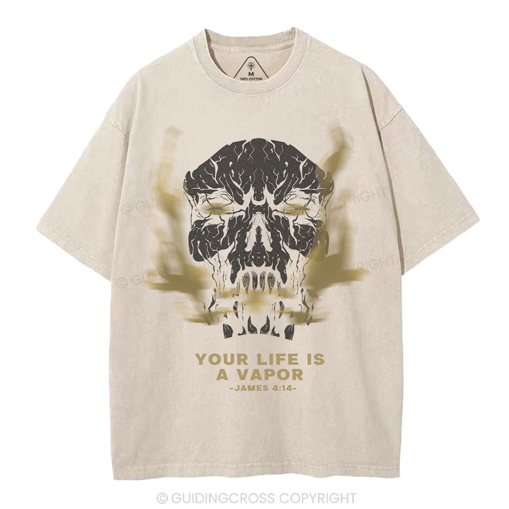 Your Life Is A Vapor Christian Washed T-Shirt