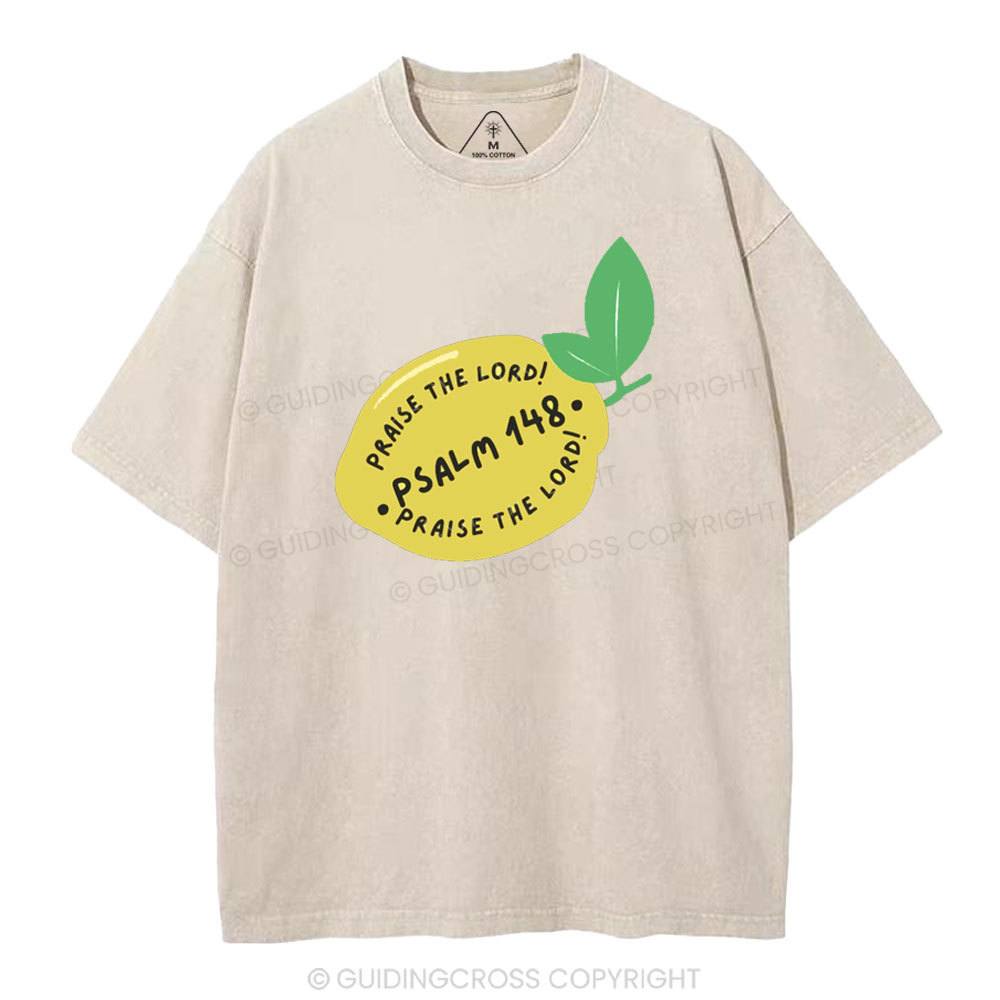 Praise The Lord Christian Washed T-Shirt