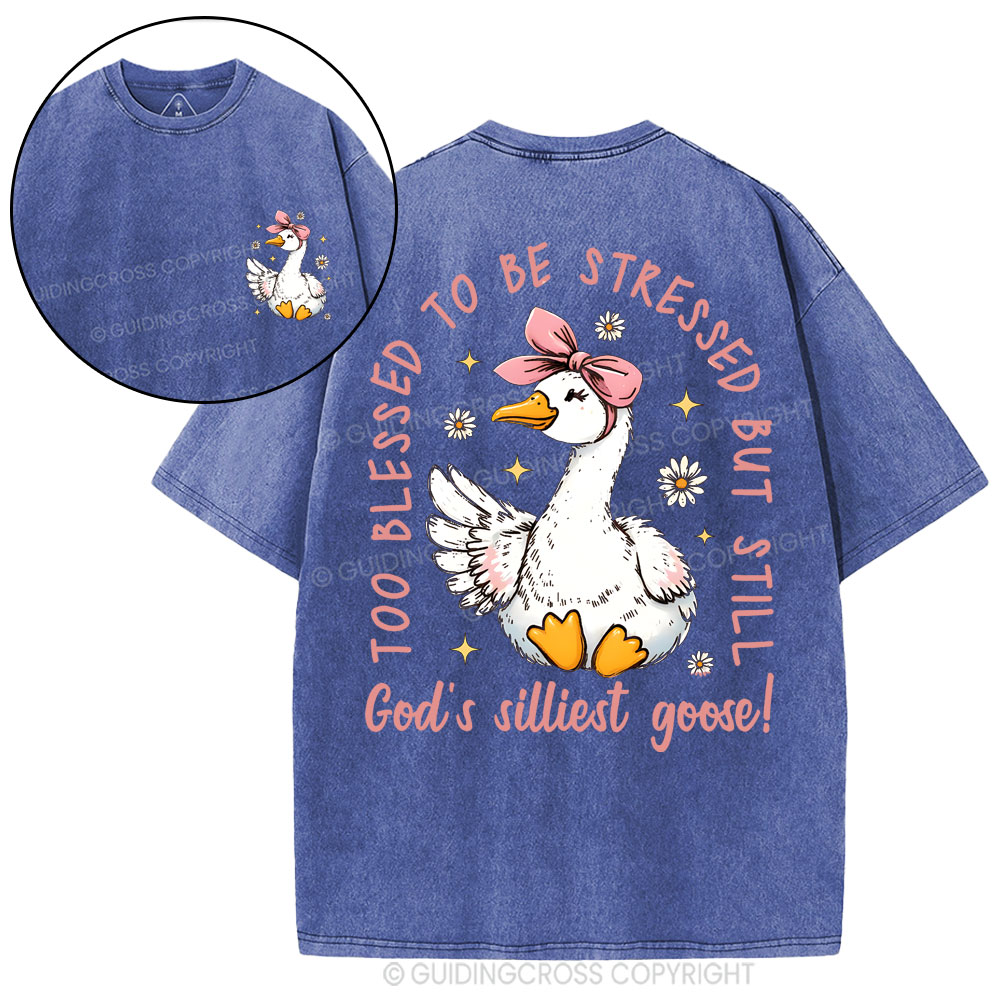 God's Silliest Goose Christian Washed T-Shirt