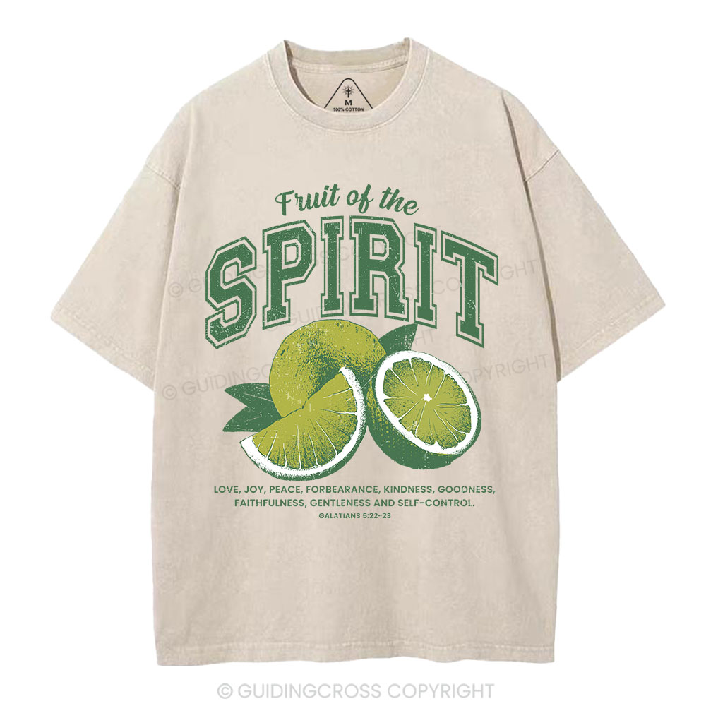 Fruit Of The Spirit Christian Washed T-Shirt