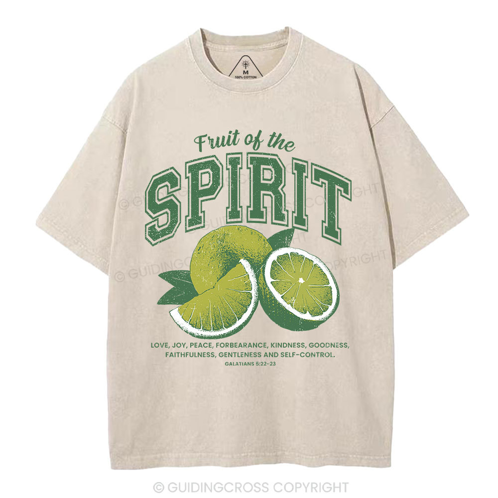 Fruit Of The Spirit Christian Washed T-Shirt
