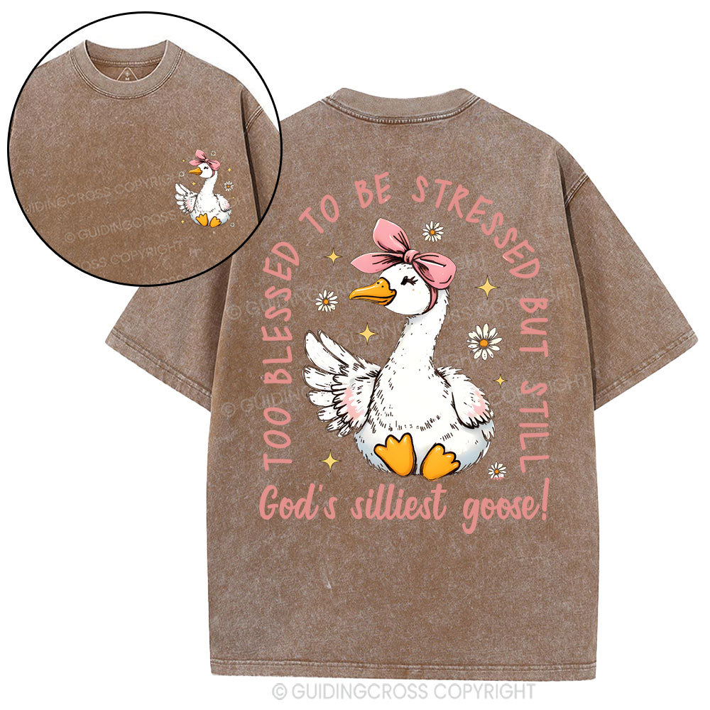 God's Silliest Goose Christian Washed T-Shirt