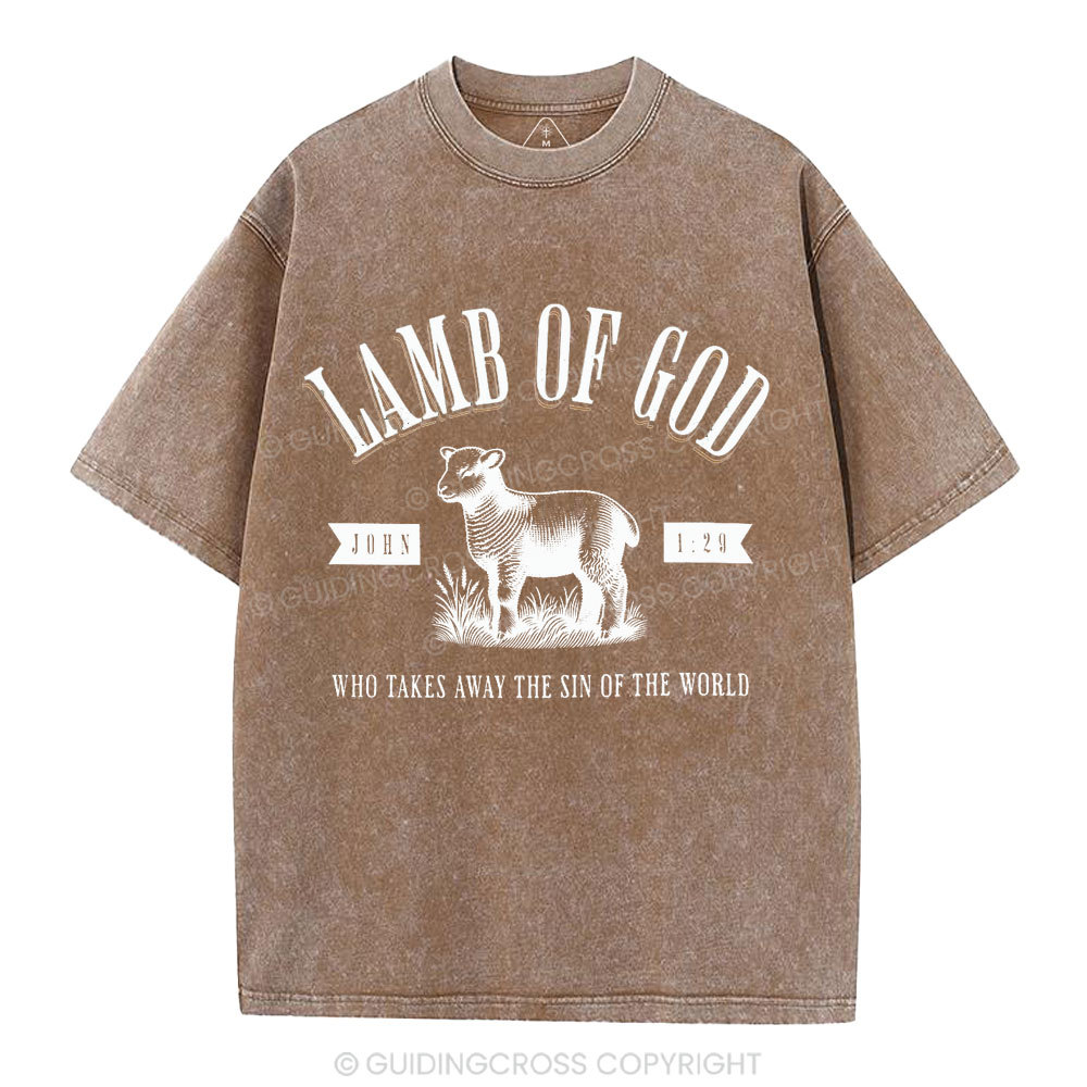 Lamb Of God Christian Washed T-Shirt
