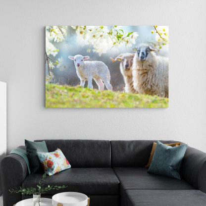 Cute Nwborn Lamb Close Up Christian Canvas Wall Art