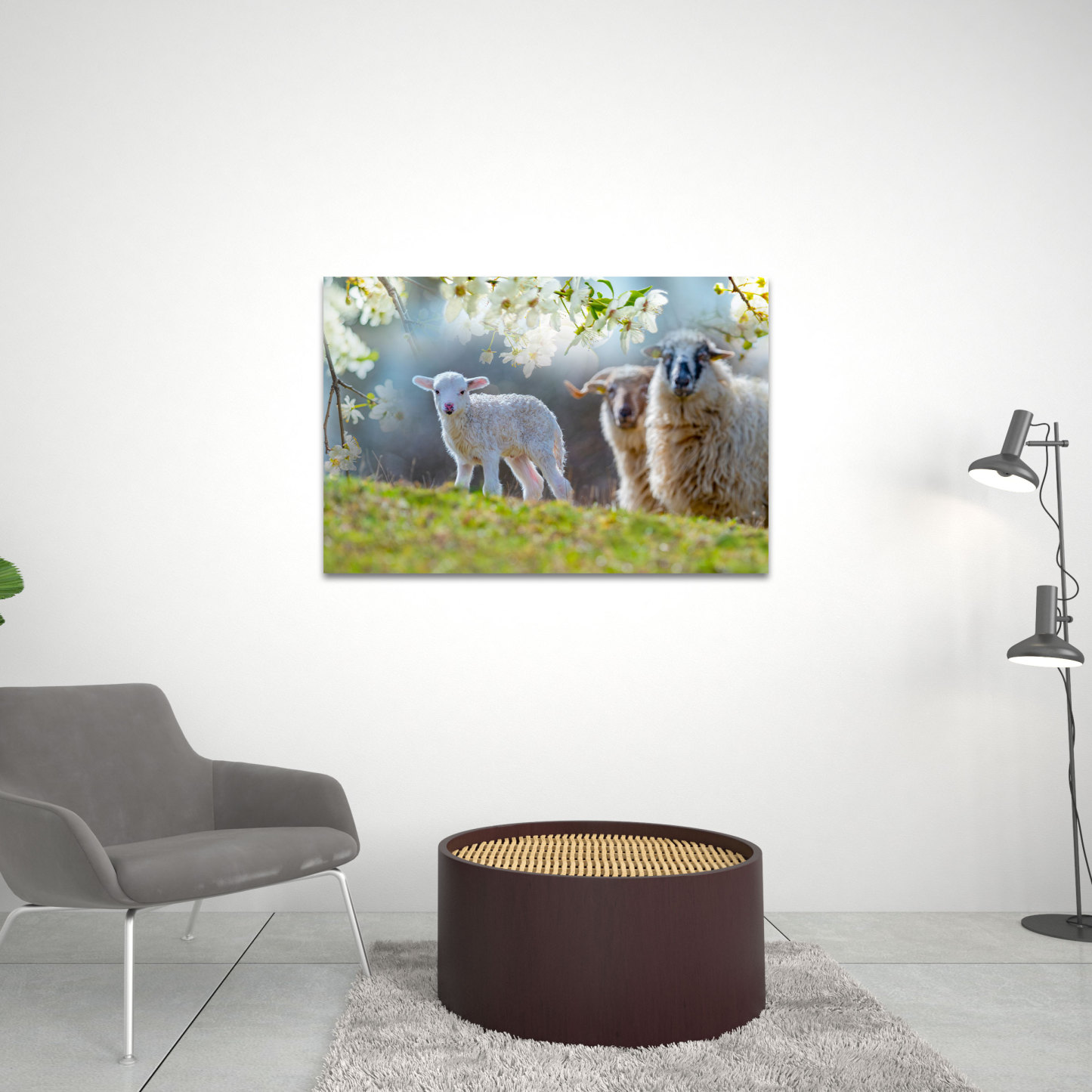 Cute Nwborn Lamb Close Up Christian Canvas Wall Art
