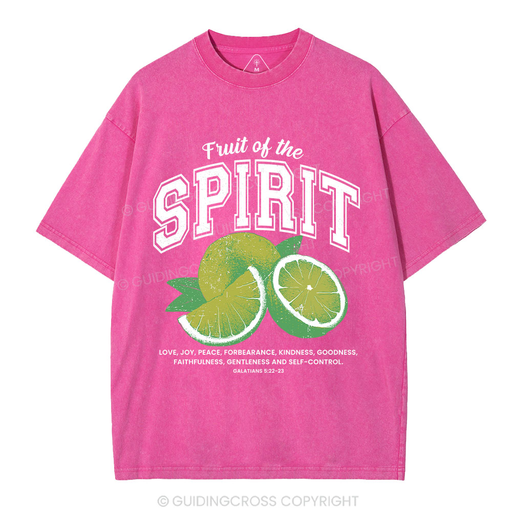 Fruit Of The Spirit Christian Washed T-Shirt