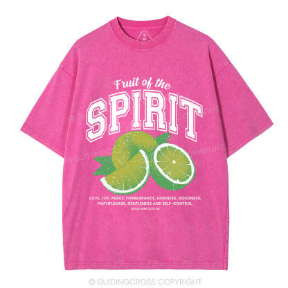Fruit Of The Spirit Christian Washed T-Shirt
