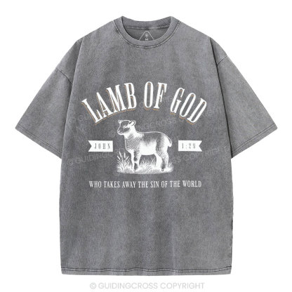 Lamb Of God Christian Washed T-Shirt