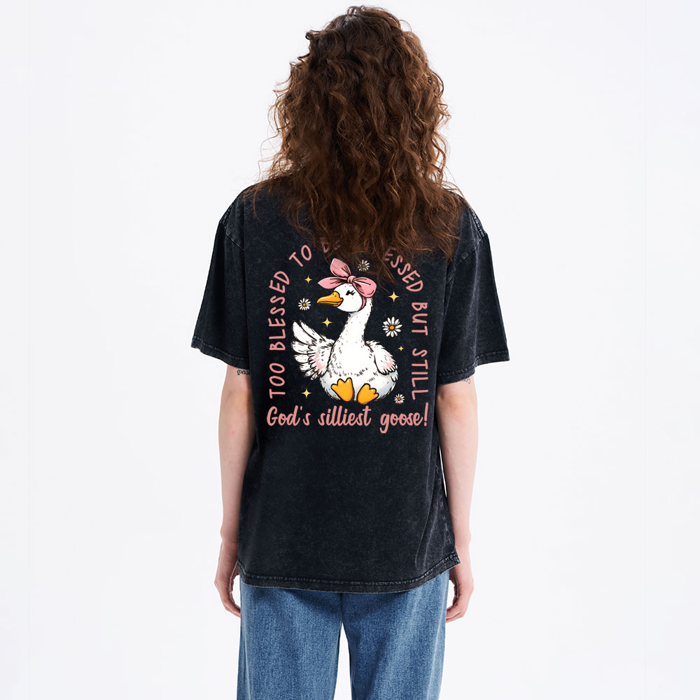 God's Silliest Goose Christian Washed T-Shirt
