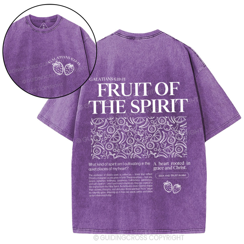 Fruit Of Spirit Christian Washed T-Shirt