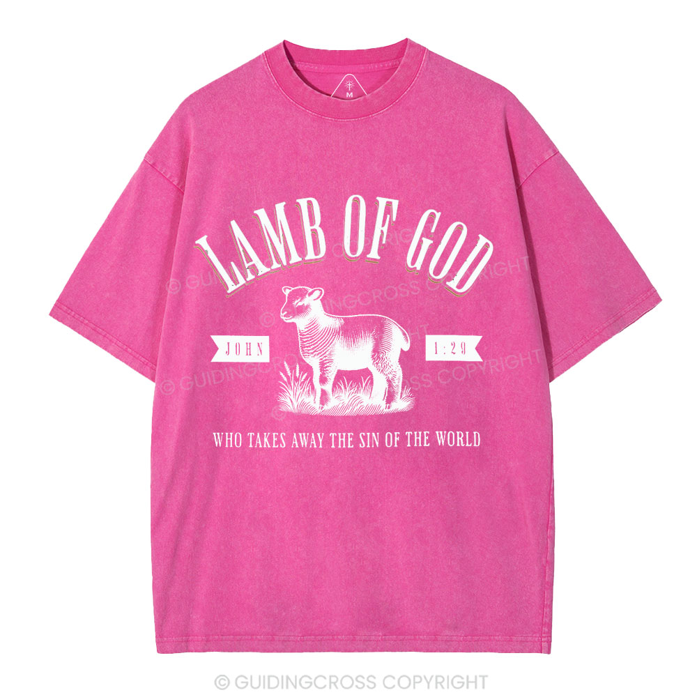 Lamb Of God Christian Washed T-Shirt