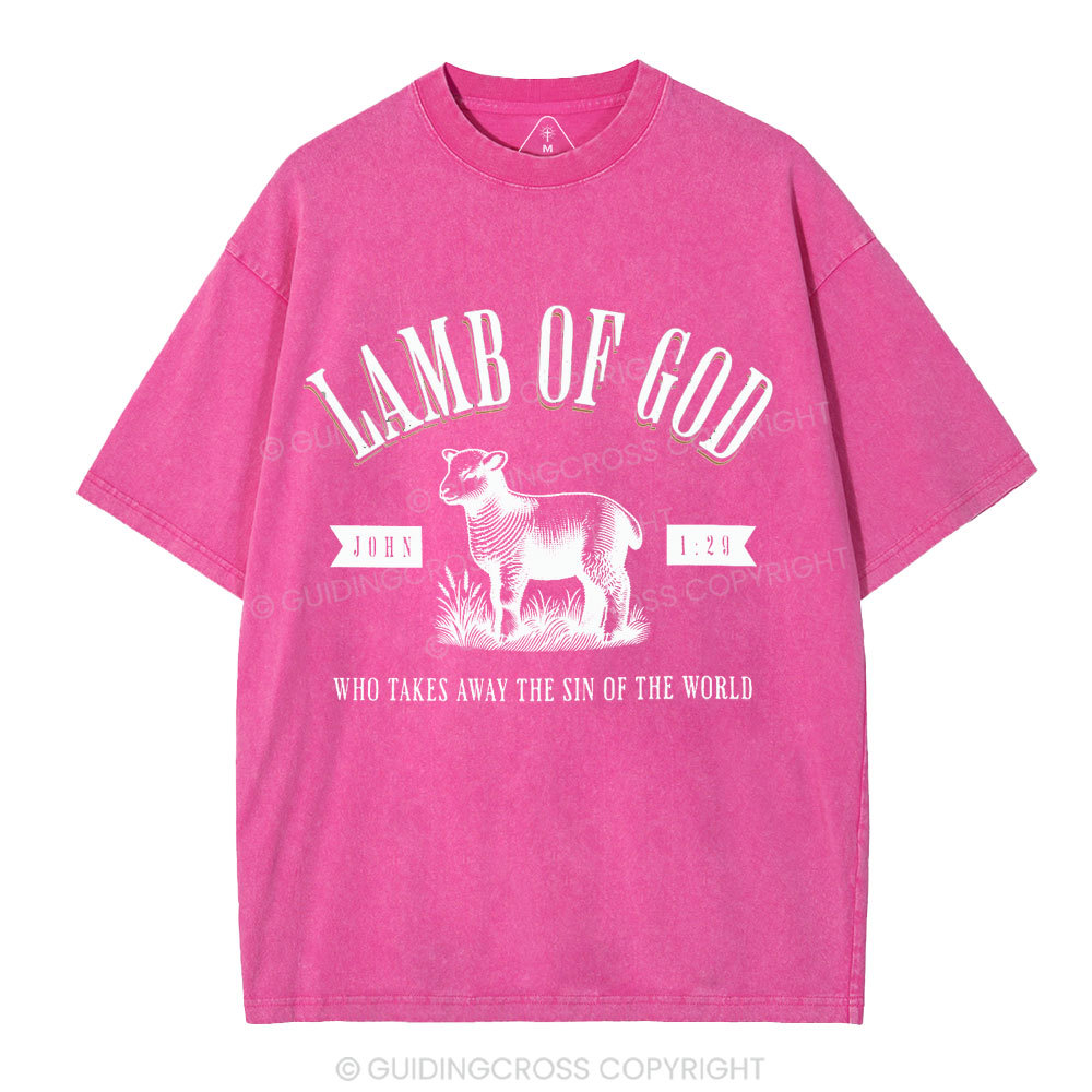 Lamb Of God Christian Washed T-Shirt