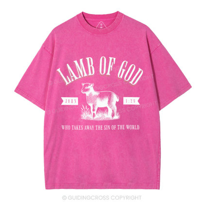 Lamb Of God Christian Washed T-Shirt